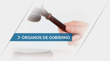 organos de gobierno4